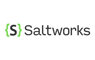 Saltworks Security color logo