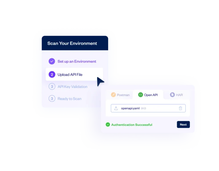 API Scanning