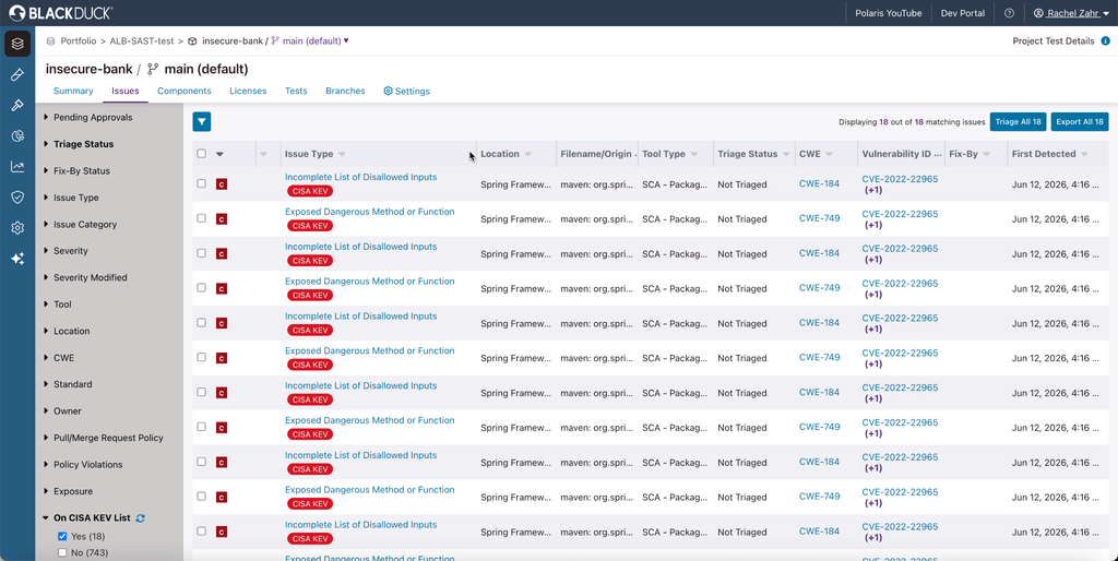 Black Duck(synopsys) appsec tool dashboard